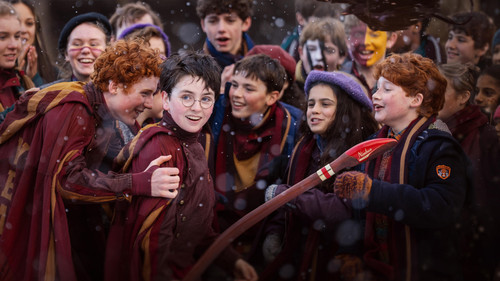 Finding Harry: The Craft Behind the Magic Poster