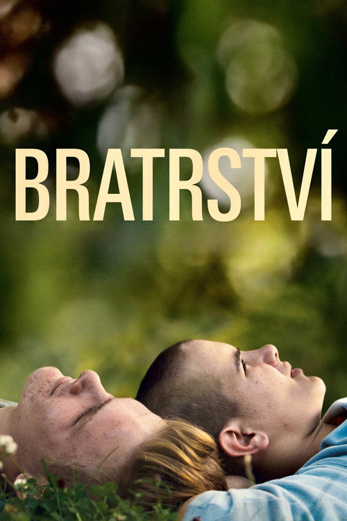 Bratrství