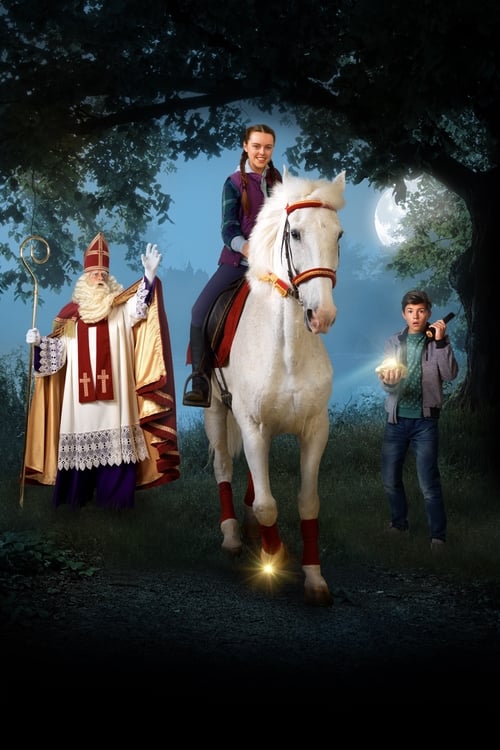 Sinterklaas and the Golden Horseshoe Movie Poster Image