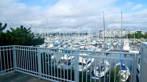 Cheap A$$ Beach Houses S01E10 backdrop