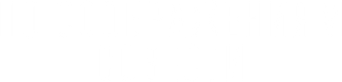 По соображениям совести