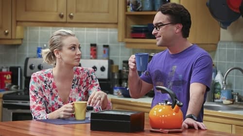 Assistir The Big Bang Theory S09E07 – 9×07 – Legendado