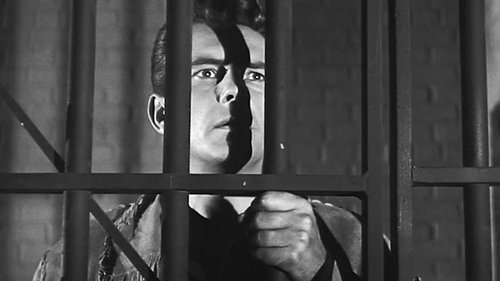 Image de l'épisode 12