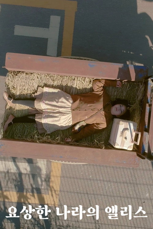 요상한 나라의 앨리스