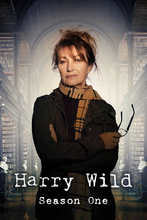 Harry Wild 1. évad poszter