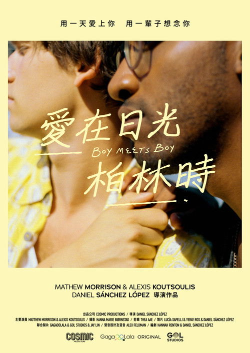 Boy Meets Boy poster