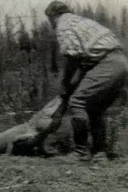 Scenes of the Everglades (1928)