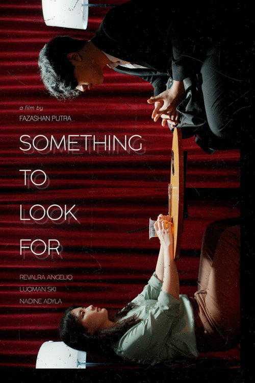 Something To Look For poster