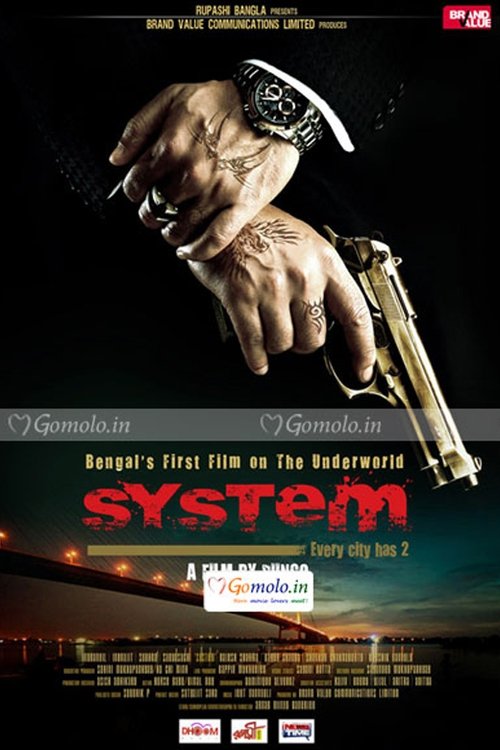 System 2011