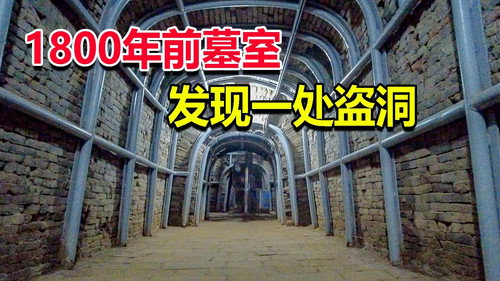 Episode 204