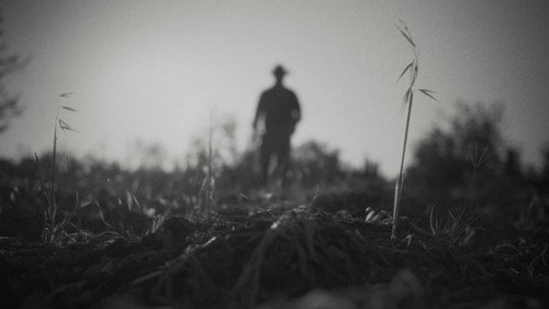 Rotting In The... Summer