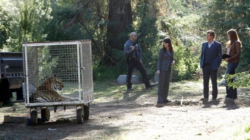 The Mentalist: 4×18