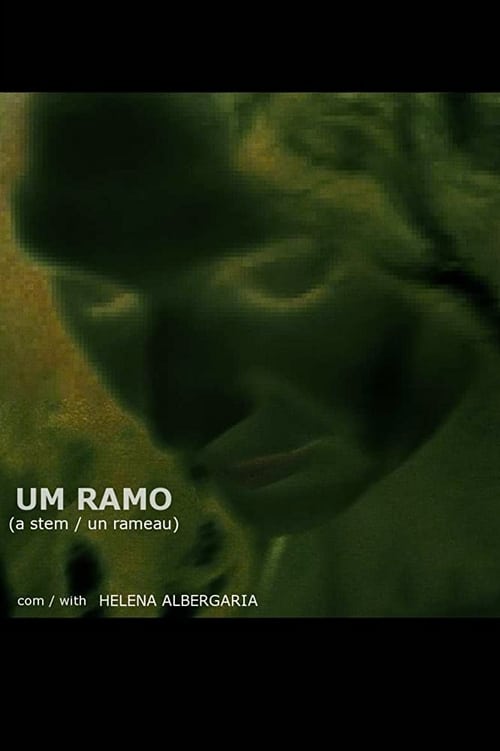 Poster Um Ramo 2007