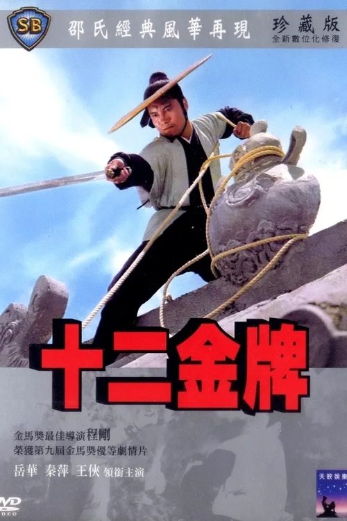 十二金牌 movie poster player