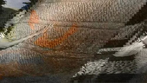 Image de l'épisode 1
