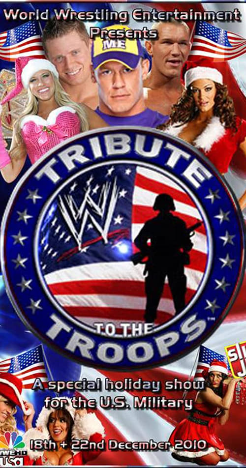 WWE Tribute to the Troops 2017 (2017)