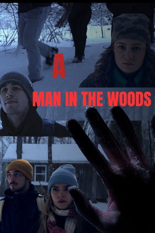 A Man in The Woods Poster