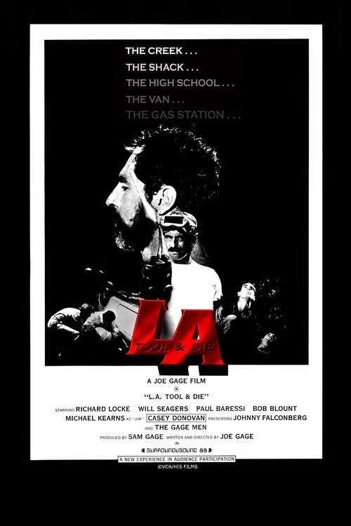 Poster 4