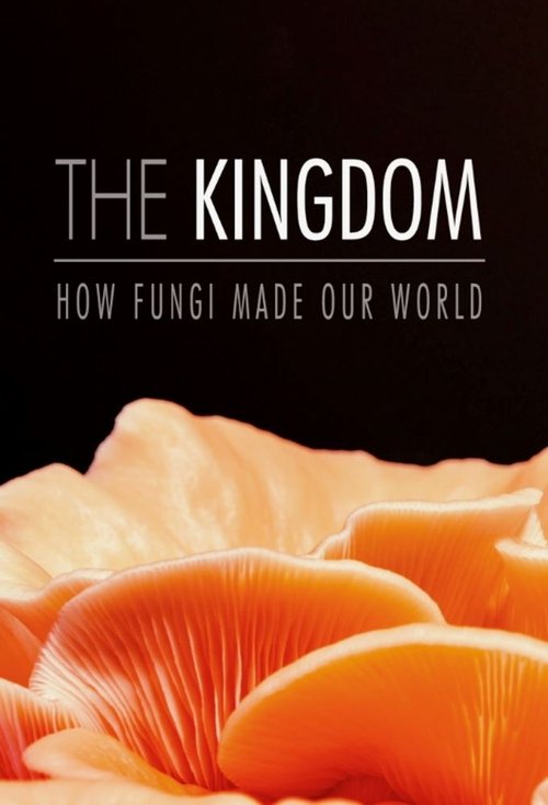 The Kingdom: How Fungi Made Our World poster