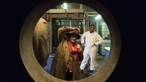 Vera: 8×1