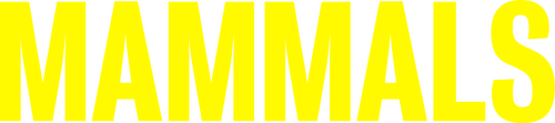 Mammals
