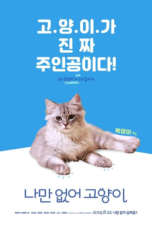 나만 없어 고양이 (2019)