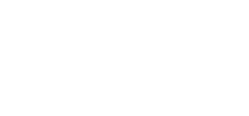 The Perfect Assistant