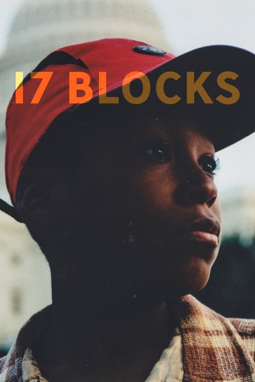 Grootschalige poster van 17 Blocks