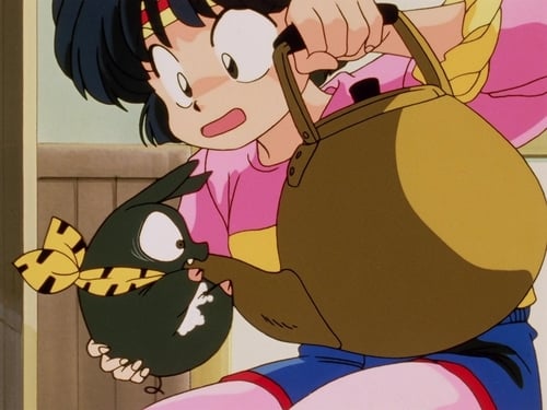 Poster della serie Ranma ½