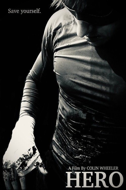 Poster for HERO