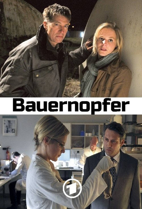 Bauernopfer movie poster player