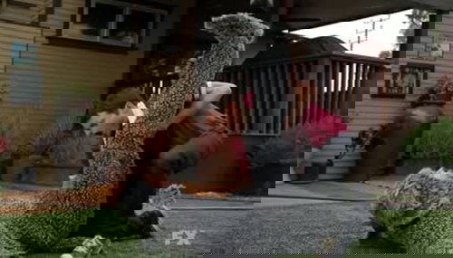 Escena del episodio 7 de la temporada 2 de la serie Wilfred