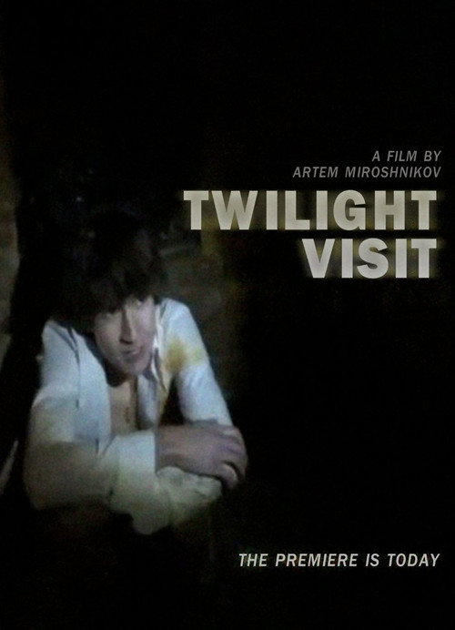 Twilight Visit poster
