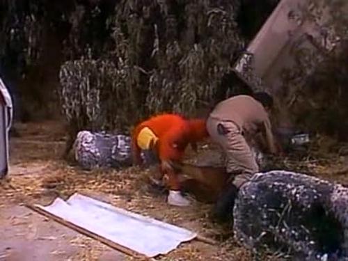 Assistir Chapolin Colorado S04E02 – 4×02 – Dublado Assistir Chapolin Colorado S04E02 – 4×02 – Dublado