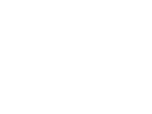 Zack e Cody: Gêmeos a Bordo - Logo 5