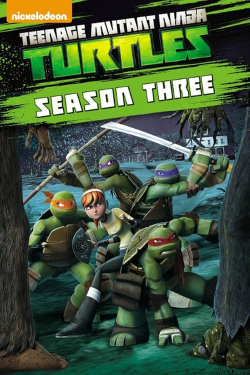 Where to stream Teenage Mutant Ninja Turtles Season 3