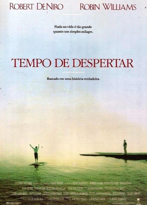 Despertares movie poster player