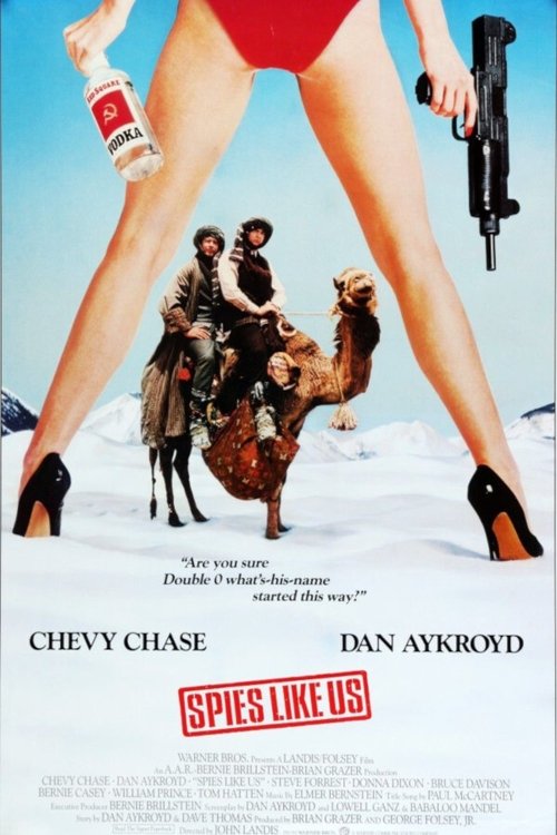Spies Like Us poster