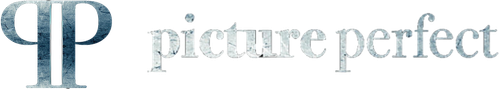 Logo Picture Perfect