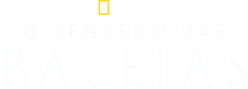 O Segredo das Baleias