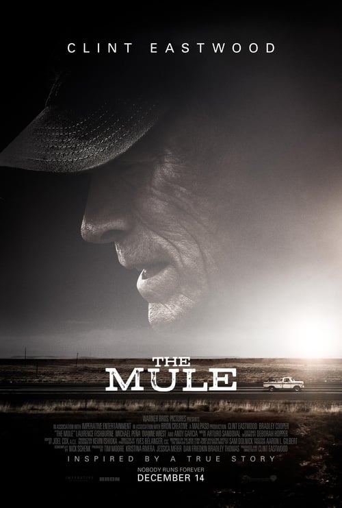 Watch The Mule Online Moviesdbz