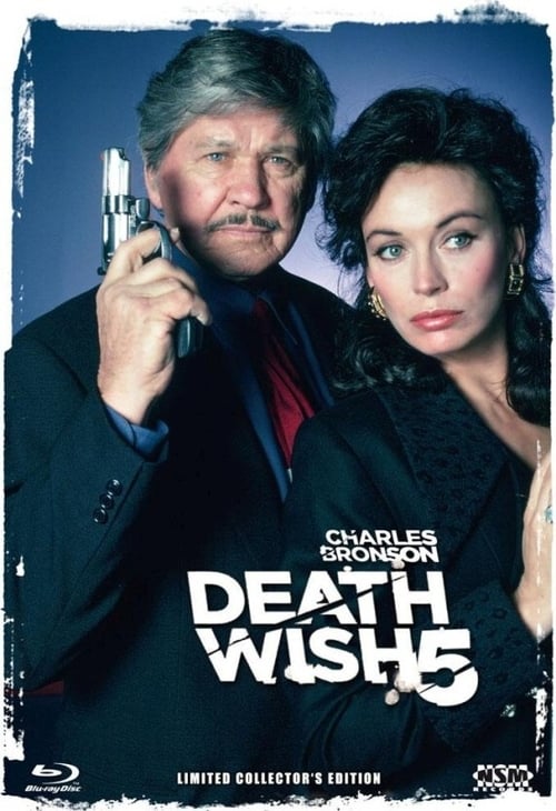 Death Wish V: The Face of Death poster