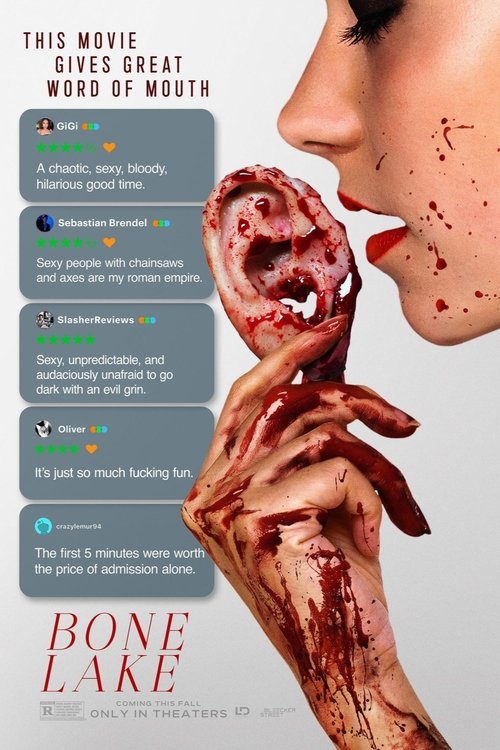Poster 13