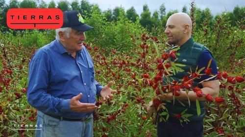 Image de l'épisode 2