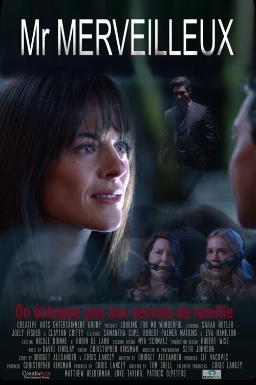 Poster image du film Mr Merveilleux Mr Merveilleux