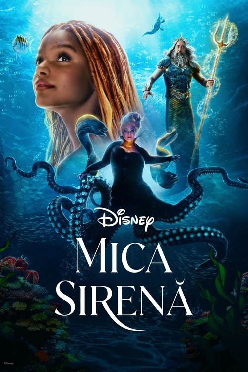 Posters