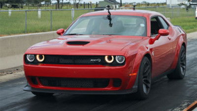 Cruise to the Cruise Part II: Roadkill Nights