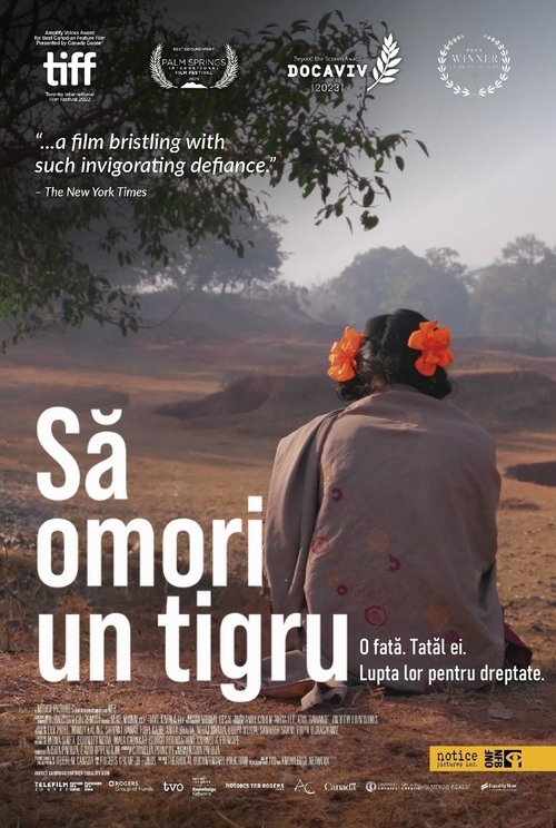 Poster pentru Să omori un tigru