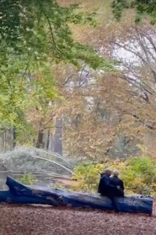 Carta al contestador automático de la embajada