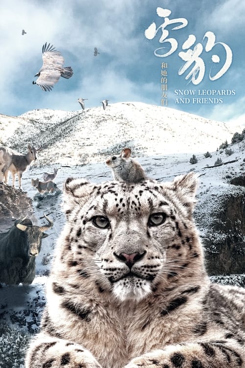 Poster do filme 雪豹和她的朋友们